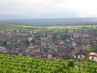 Ihringen (Bildnachweis: Mit freundlicher Genehmigung der Kaiserstuhl Touristik e.V. Ihringen)