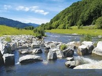  (Bildnachweis: Mit freundlicher Genehmigung des Brgermeisteramtes Steinach)