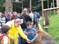 (Bildnachweis: Vogelpark-Steinen)  (Bildnachweis: Vogelpark-Steinen)