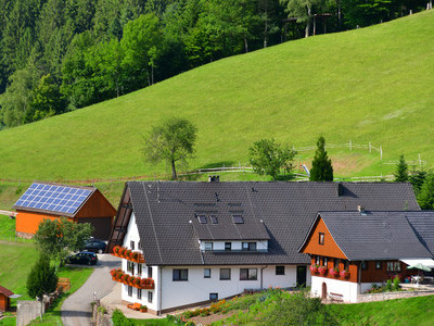 Ferienwohnungen im Schwarzwald