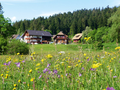 Ferienhäuser im Schwarzwald