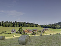 Ferienwohnungen im Schwarzwald