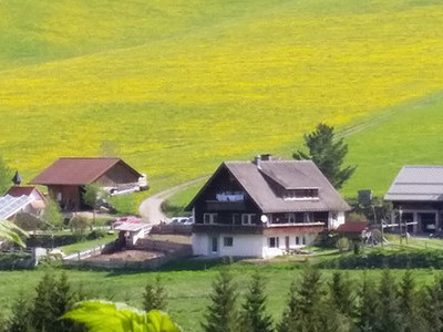 Bauernhöfe im Schwarzwald