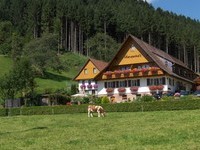 Appartements im Schwarzwald