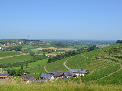 Winzerhöfe im Schwarzwald