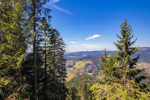 Teufelskanzelsteig Copyright: (© Bad Peterstal-Griesbach) Teufelskanzelsteig Copyright: (© Bad Peterstal-Griesbach)