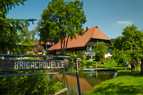 Brigachquelle Copyright: (  Hochschwarzwald Tourismus GmbH)