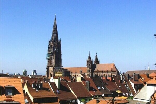 Freiburger Münster Freiburger Münster