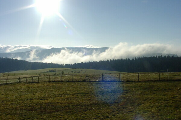 4ws-netdesign 4ws-netdesign