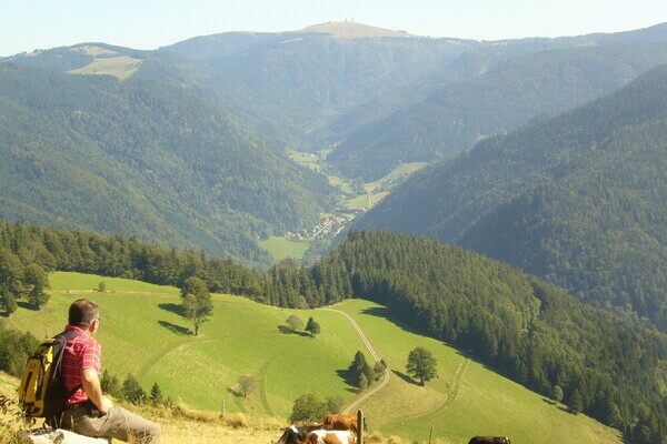 Tourist-Information Dreisamtal