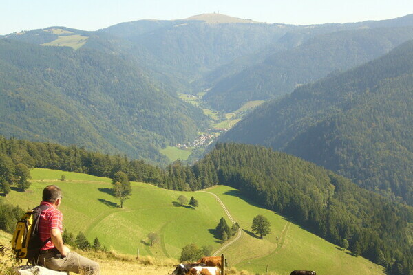 Tourist-Information Dreisamtal Tourist-Information Dreisamtal