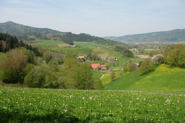 Tourist-Information Dreisamtal