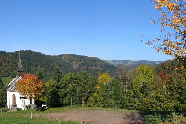 Herbst in Buchenbach Copyright: (Tourist-Information Dreisamtal)