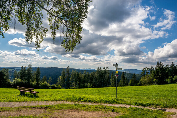 Schinkenweg Aussicht Copyright: ( Tourist-Information Hchenschwand, Fotograf Klaus Hansen)