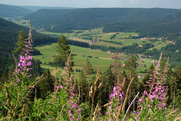 Blick ins Murgtal von der Königswart Bildnachweis: Mit freundlicher Genehmigung der Gemeinde Seewald