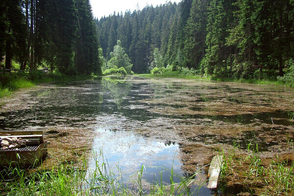 Copyright: Mit freundlicher Genehmigung der Gemeinde Seewald