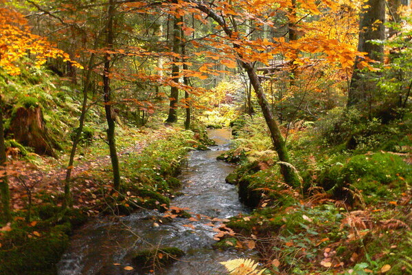 Gemeinde Calw Gemeinde Calw