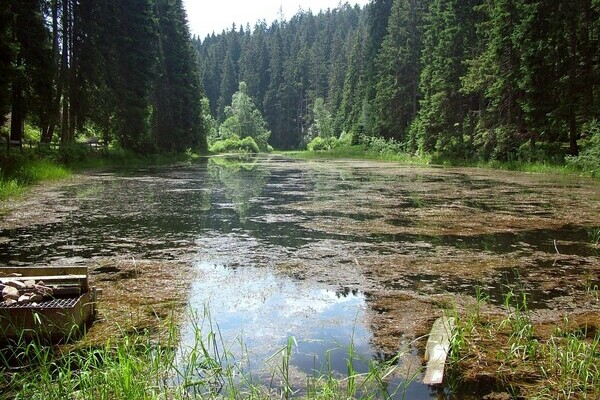 Mit freundlicher Genehmigung der Gemeinde Seewald Mit freundlicher Genehmigung der Gemeinde Seewald