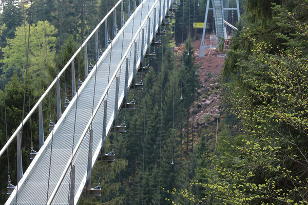 Wildline H�ngeseilbr�cke Copyright: (Hotel Rothfuss Bad Wildbad)
