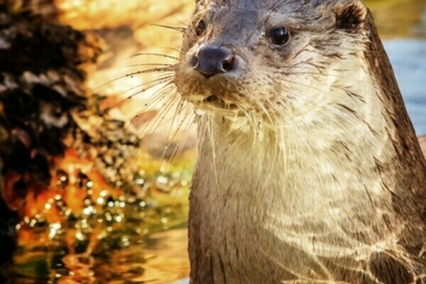 Copyright: (Mit freundlicher Genehmigung der Wirtschaft und Stadtmarketing Pforzheim, Fotograf: Stefan Betz) Copyright: (Mit freundlicher Genehmigung der Wirtschaft und Stadtmarketing Pforzheim, Fotograf: Stefan Betz)
