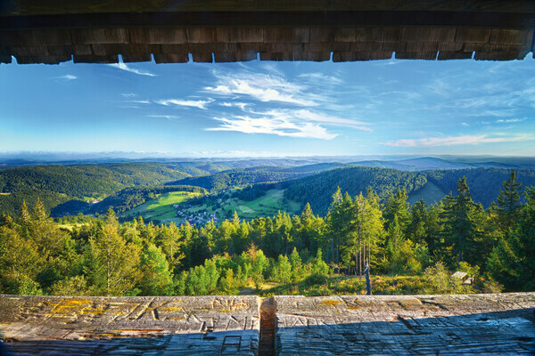 Ausblick vom Hochkopfturm Bildnachweis: Mit freundlicher Genehmigung der Gemeinde Todtmoos