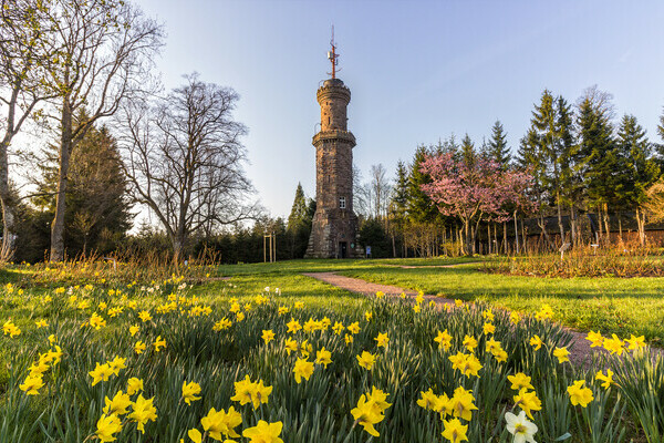 Friedrichsturm Copyright: (� Freudenstadt Tourismus)