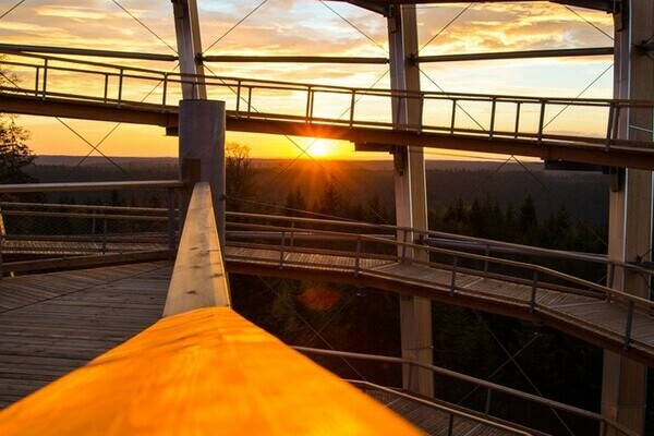 Copyright: Mit freundlicher Genehmigung des Baumwipfelpfades Copyright: Mit freundlicher Genehmigung des Baumwipfelpfades