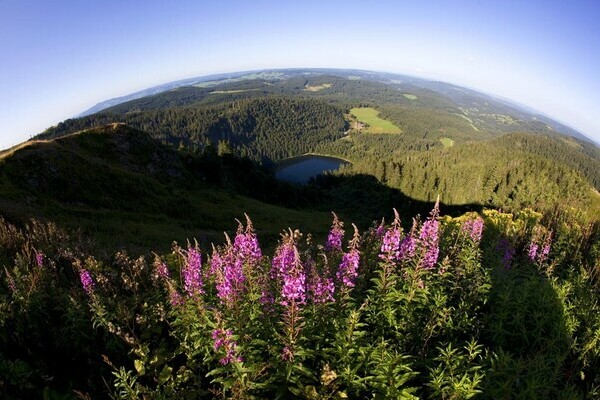 Feldsee - Copyright: Hochschwarzwald Tourismus GmbH Feldsee - Copyright: Hochschwarzwald Tourismus GmbH