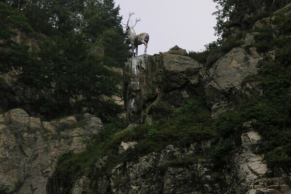Hirschsprung Copyright: (Mit freundlicher Genehmigung der Gemeinde Hinterzarten) Hirschsprung Copyright: (Mit freundlicher Genehmigung der Gemeinde Hinterzarten)