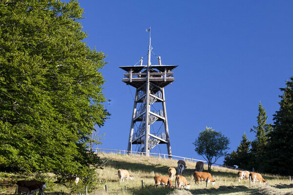 Eugen-Keidel Turm Schauinsland Copyright: (Freiburger Verkehrs AG/ Schauinslandbahn)