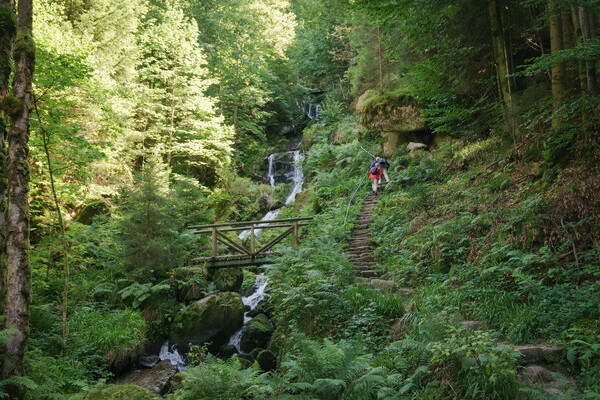 Gertelbach Wasserfälle Bildnachweis: Mit freundlicher Genehmigung der Tourist-Info Bühl-Bühlertal