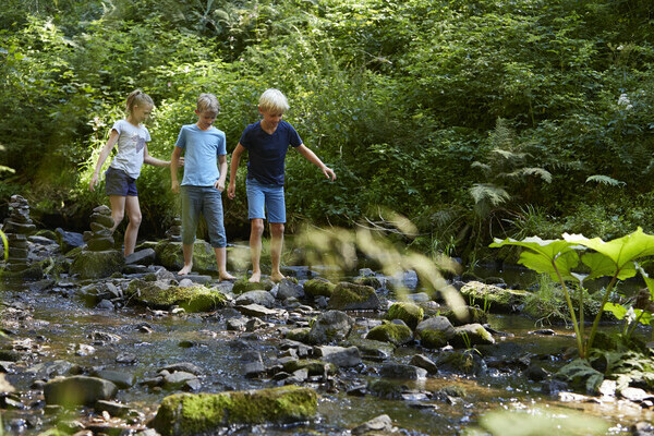 Spielen im Bachlauf Copyright: (Hochschwarzwald Tourismus GmbH/ Christoph Dpper)