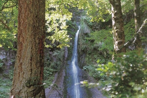Sankenbach Wasserfall Bildnachweis: Mit freundlicher Genehmigung der Baiersbronn Touristik