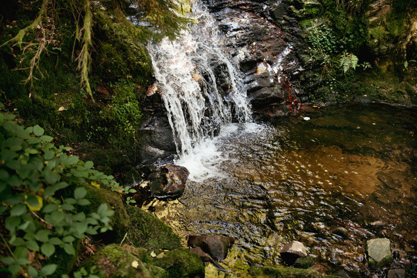  Becken des Wasserfalls in der Windbergschlucht bei St. Blasien Bildnachweis:  Hochschwarzwald Tourismus GmbH