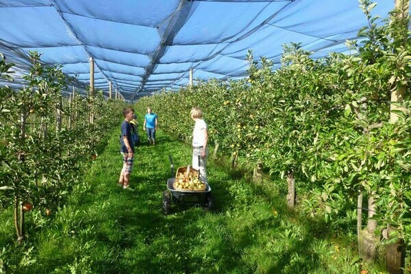 Obsthof Drechsle Copyright: (Obsthof Drechsle) Obsthof Drechsle Copyright: (Obsthof Drechsle)