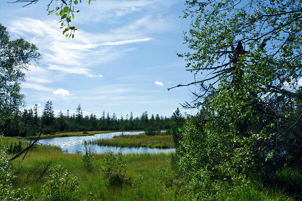 Touristik Wildsee