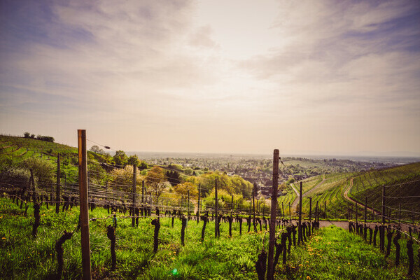 Stadt Offenburg Stadt Offenburg