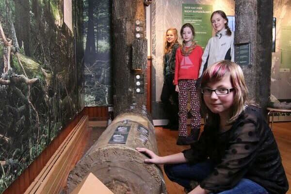 Bannwald Copyright: (© Natur-Infozentrum Kaltenbronn) Bannwald Copyright: (© Natur-Infozentrum Kaltenbronn)