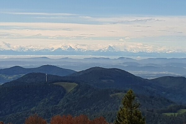 Copyright: (4Ws Netdesign) Copyright: (4Ws Netdesign)