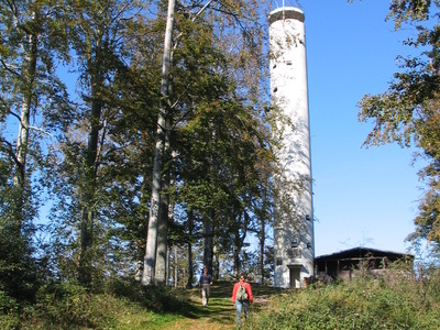 Mahlbergturm bei Gaggenau im Murgtal Copyright: (© Zweckverband Im Tal der Murg)